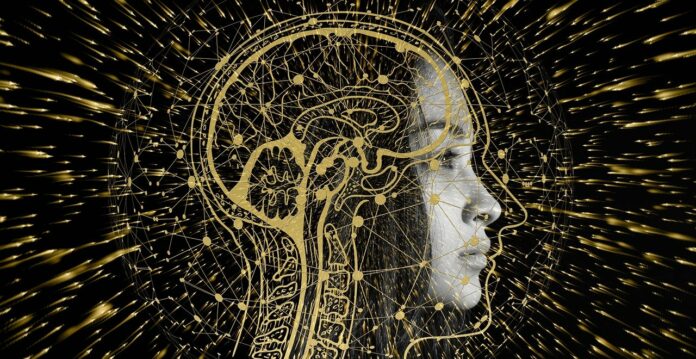 8 façons d'entraîner son cerveau