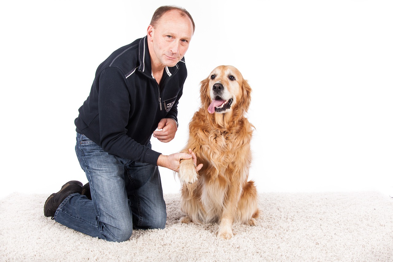 Fiche métier  devenir éducateur canin 