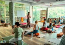 Transformez votre vie avec le Yoga et devenez professeur et guide du bien-ĂŞtre professeur de yoga