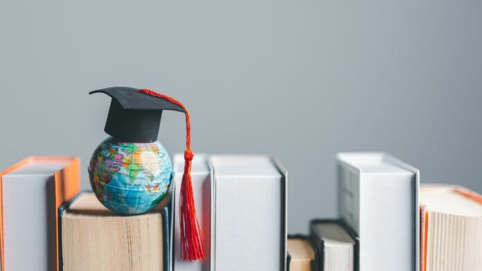 Études supérieures ou formations courtes que choisir en 2025