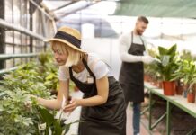 La formation d’ingénieur agronome un parcours scientifique au service du vivant formation d’ingénieur agronome