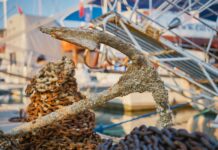 Journée Salon d’orientation au Yacht Club de Monaco : métiers de la mer salon orientation Monaco